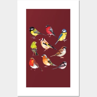 Watercolour Garden Birds Collection Posters and Art